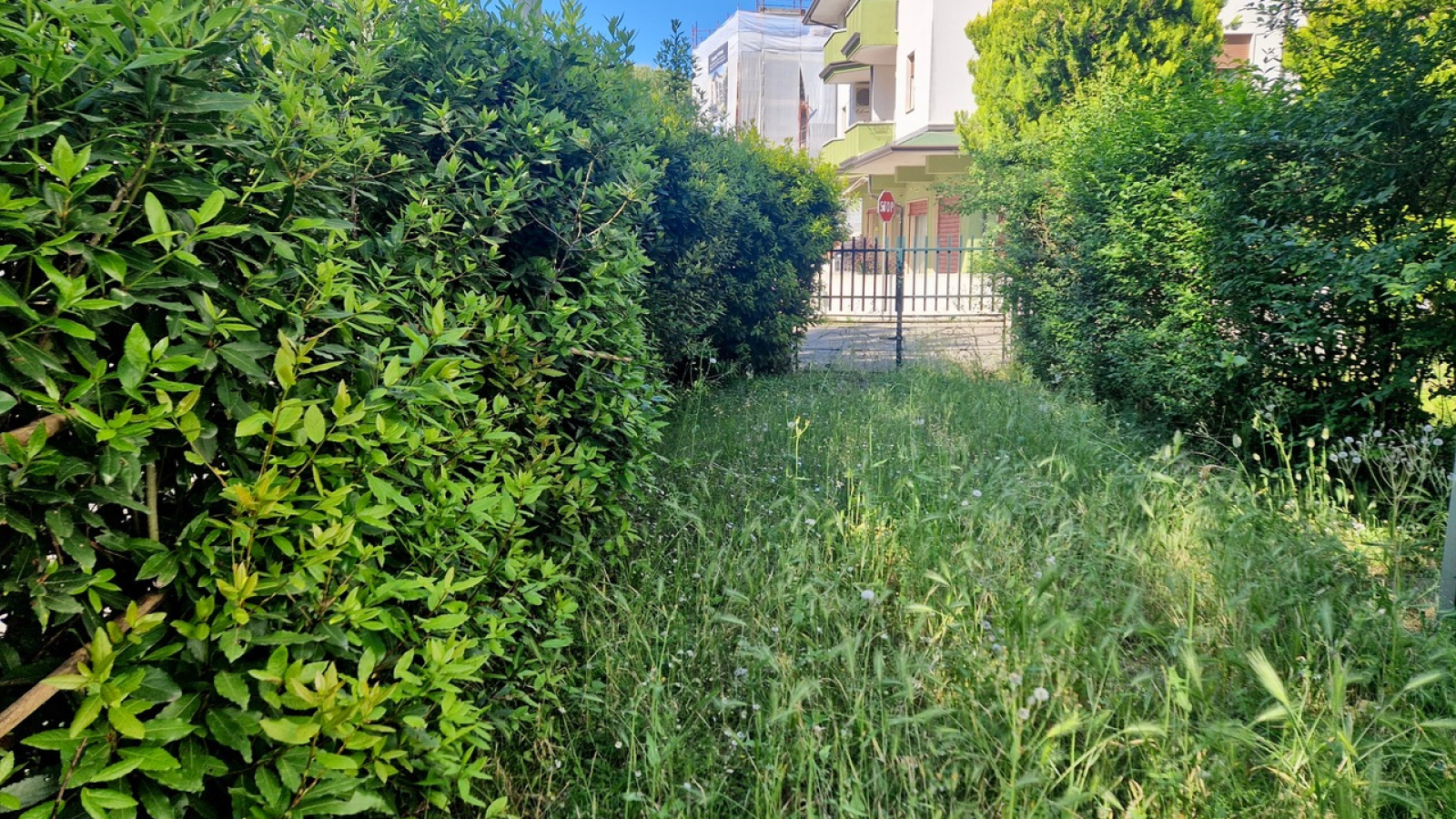 Via dei Lauri 7, Rosolina Mare, 2 Stanze da Letto Stanze da Letto, 3 Stanze Stanze,1 BagnoBagno,Appartamento,Vendita,Via dei Lauri 7,1318