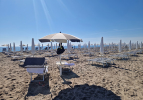 Via dei Lauri 7, Rosolina Mare, 2 Stanze da Letto Stanze da Letto, 3 Stanze Stanze,1 BagnoBagno,Appartamento,Vendita,Via dei Lauri 7,1318