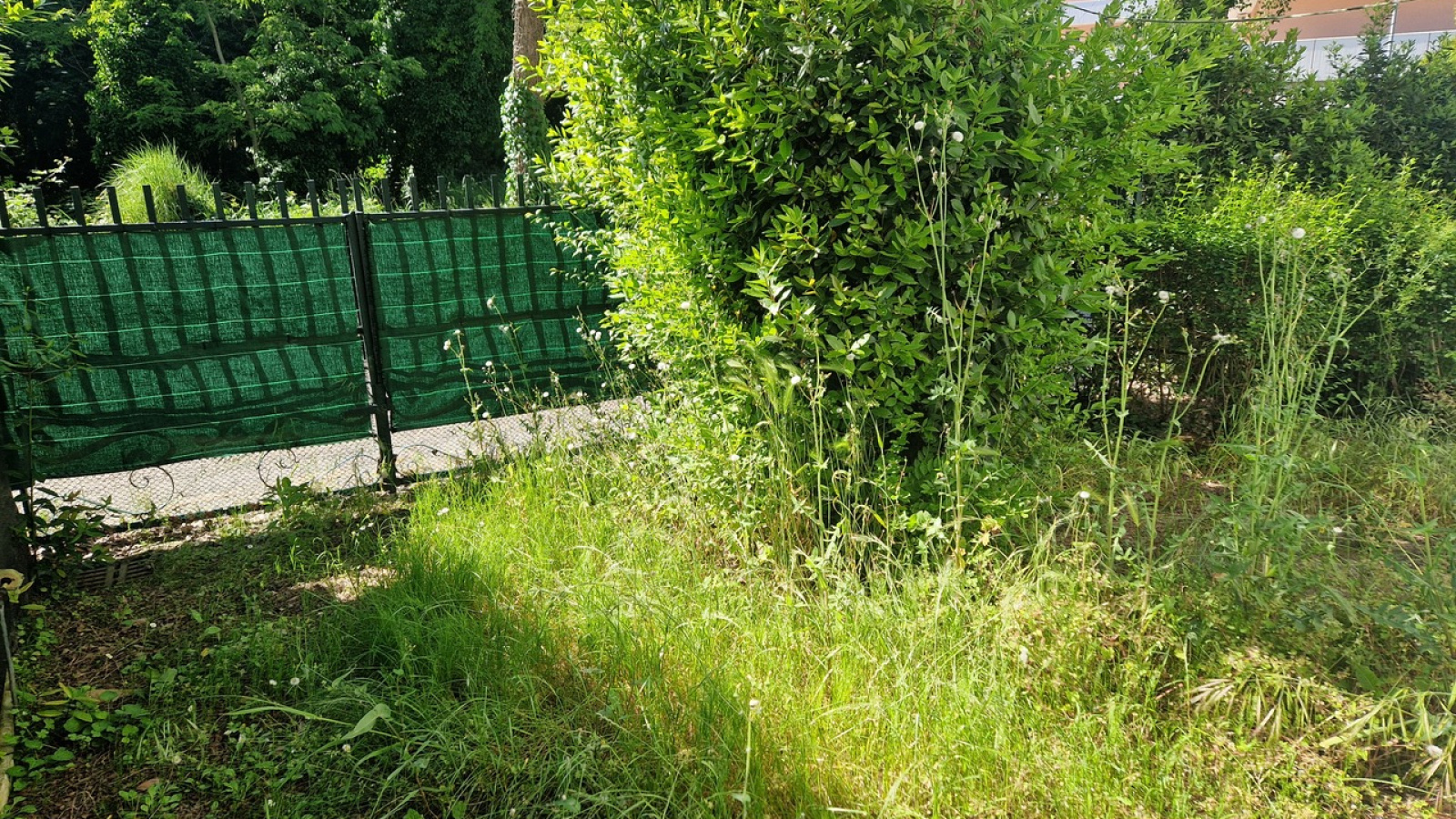 Via dei Lauri 7, Rosolina Mare, 2 Stanze da Letto Stanze da Letto, 3 Stanze Stanze,1 BagnoBagno,Appartamento,Vendita,Via dei Lauri 7,1319