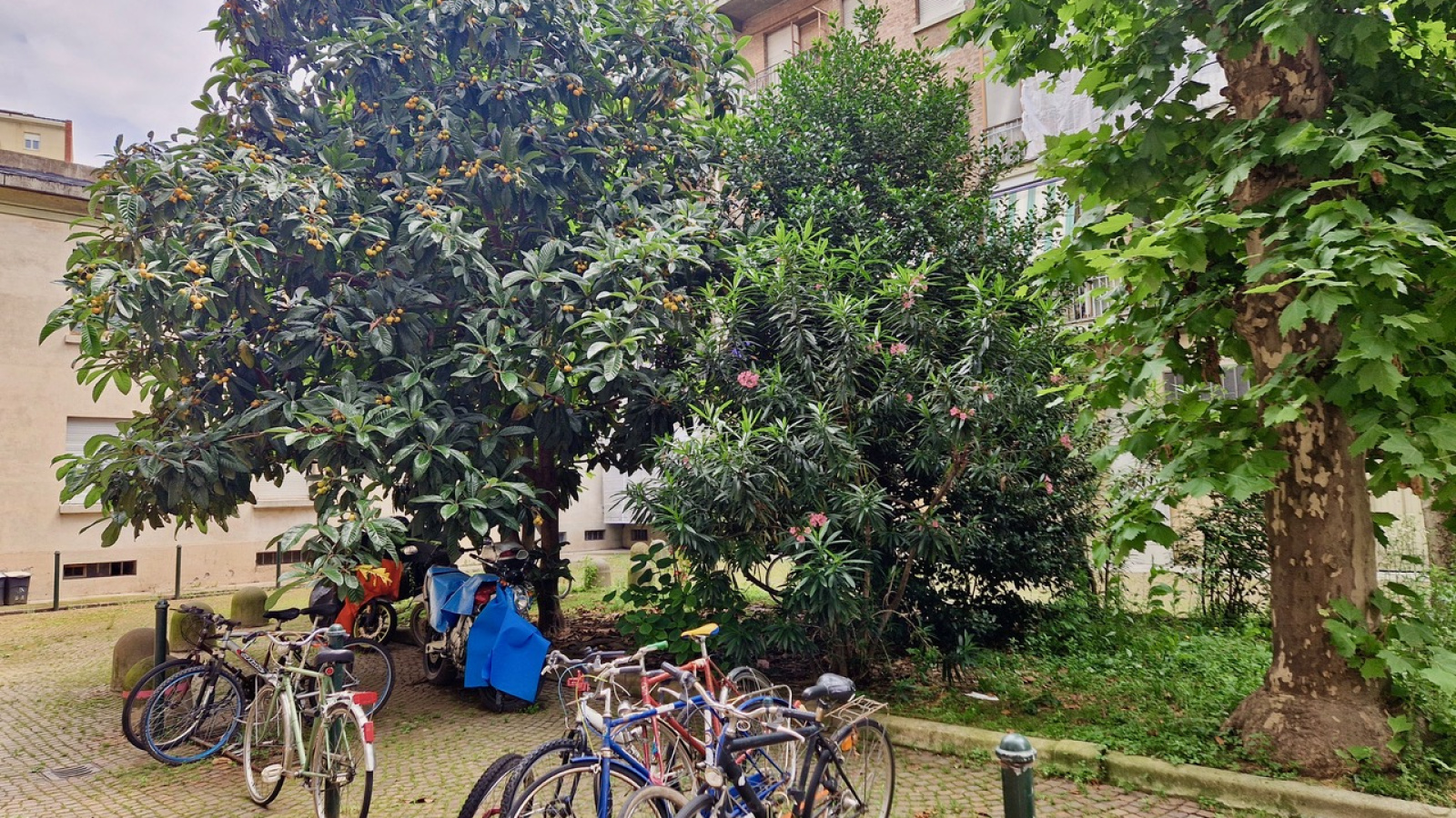 Via Alimonda 9, 10155, 3 Stanze da Letto Stanze da Letto, 4 Stanze Stanze,1 BagnoBagno,Appartamento,Vendita,Via Alimonda 9,1321