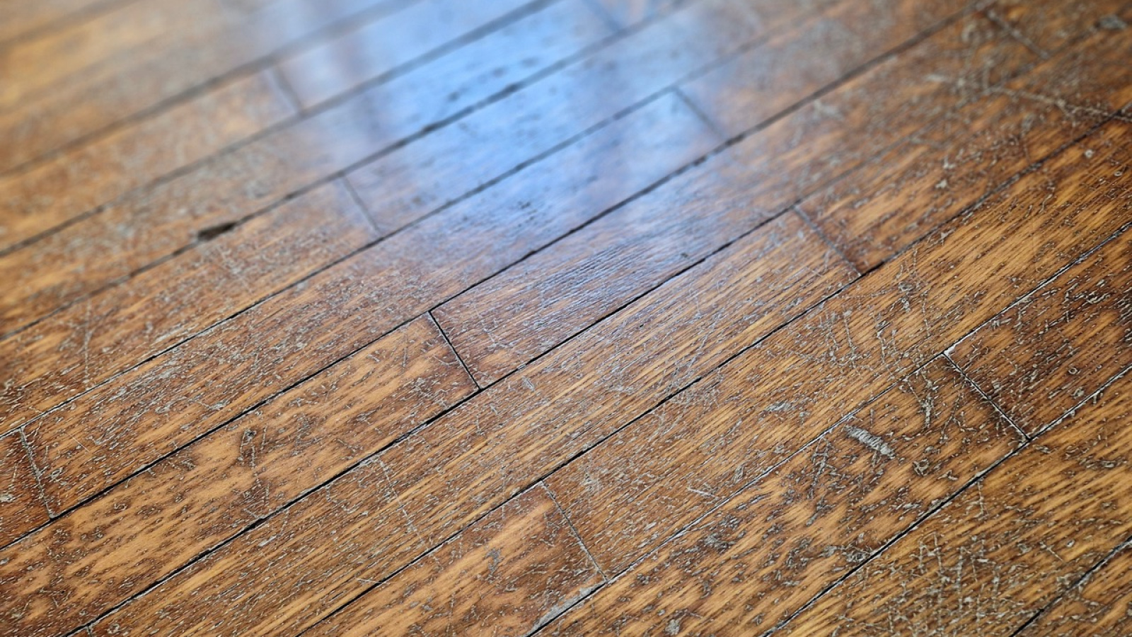 Via Camino 14, Torino, 1 Camera da Letto Stanze da Letto, 2 Stanze Stanze,1 BagnoBagno,Appartamento,Vendita,Via Camino 14,1342