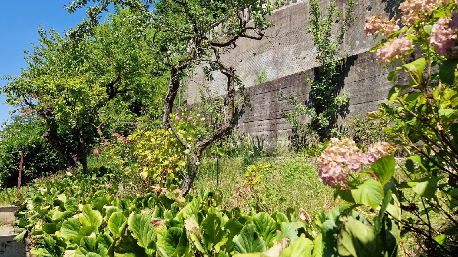 Corso Chieri 29/7, Torino, 3 Stanze da Letto Stanze da Letto, 7 Stanze Stanze,3 BagnoBagno,Casa Indipendente,Vendita,Corso Chieri 29/7,1378