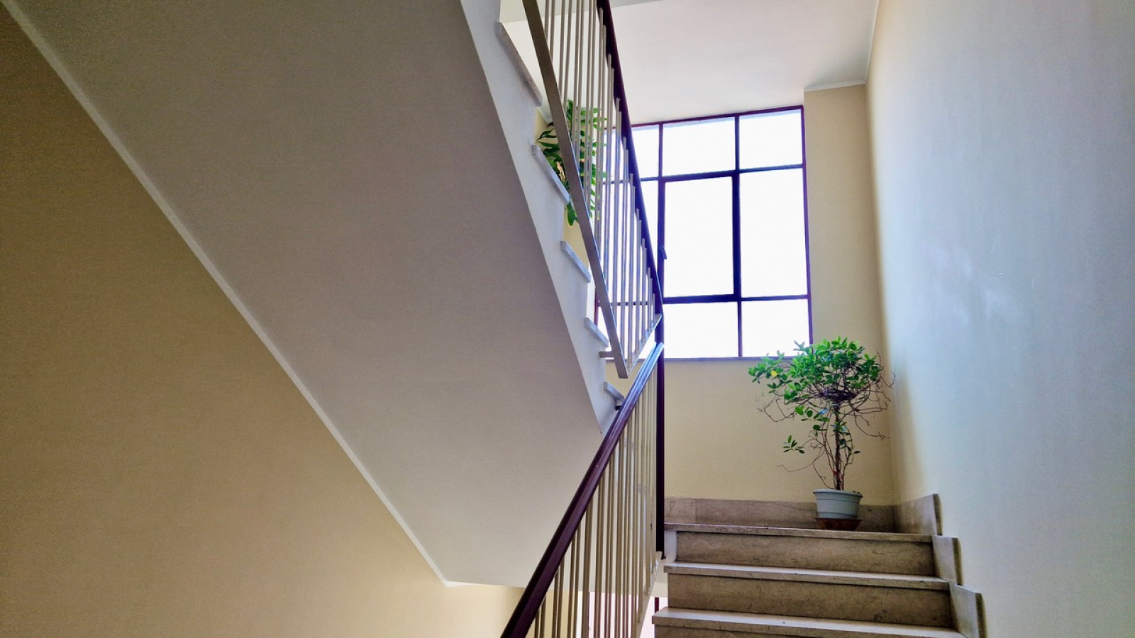 largo casteldelfino 21, Torino, 3 Stanze da Letto Stanze da Letto, 4 Stanze Stanze,1 BagnoBagno,Appartamento,Vendita,largo casteldelfino 21,839244
